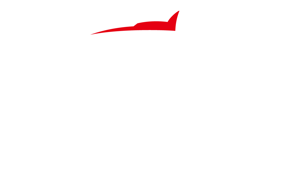 Leoch battery